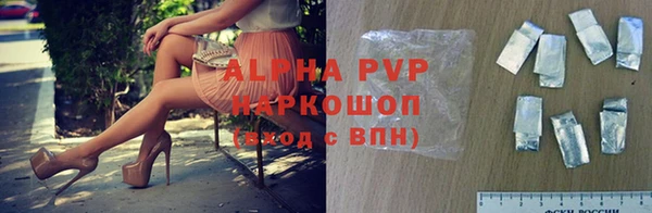 стафф Магас