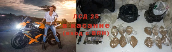 сатива Магадан