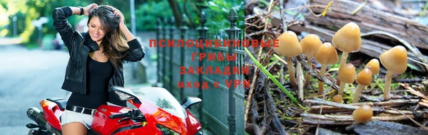круглые Артём