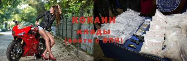 сатива Магадан