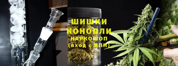сатива Магадан